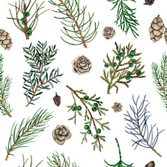 Watercolor winter seamless pattern with christmas fir branches, pine cones isolated on white background. Xmas new year holiday illustration for fabric textile - 656876878