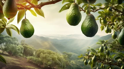 Foto op Aluminium A scene showcasing an avocado orchard with ripe fruit hanging from trees, set against a textured background, AI generated © Hifzhan Graphics