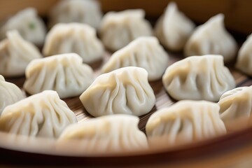 Fototapeta na wymiar close-up of a dumpling filling