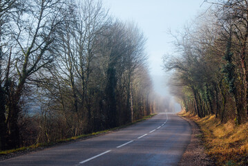 une route asphalte dans les bois en automne. Chemin en forêt pendant l'automne. Forêt automnale traversée par une route. route en pointillé traversant un bois pendant l'automne. Brume sur une route 