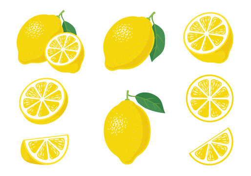レモン　イラスト素材集　バラエティーセット