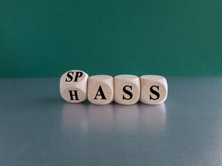 Turned a wooden cube and changes the German word Hass (hate) to Spass (fun). Beautiful grey table green background.
