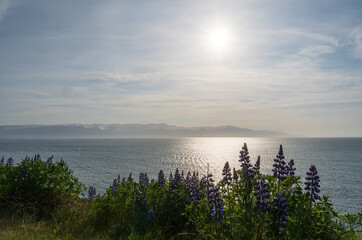 Views off the Coast of Húsavík