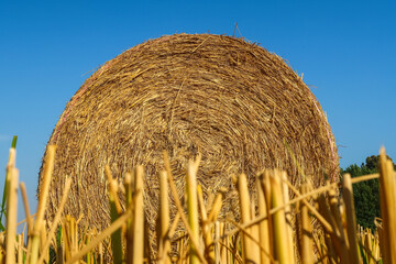 Hay bales agriculture agricultural field,panorama,landscape view detail close up