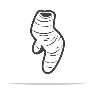 recommend clip art: Turmeric root icon transparent vector isolated