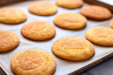 close-up of golden-brown snickerdoodles on a baking sheet