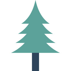 Fototapeta premium Boho Pine Tree