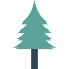 Fototapeta premium Boho Pine Tree
