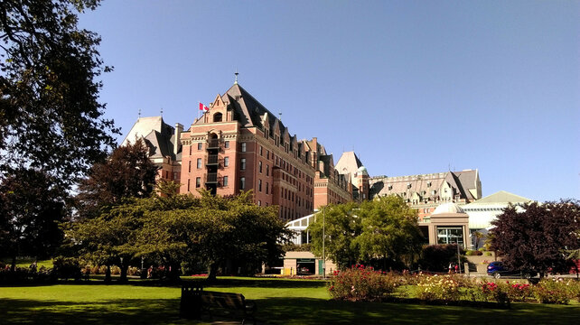 A leisurely afternoon in the park under  a clear day(Victoria, Canada)