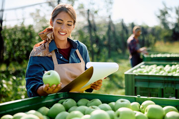 Happy woman examining crop of freshly picked apples while working in orchard.