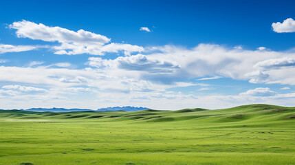The Rolling Grasslands Of The Mongolian Steppes  - obrazy, fototapety, plakaty