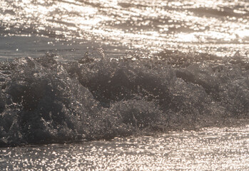 wave splash sea beach macro