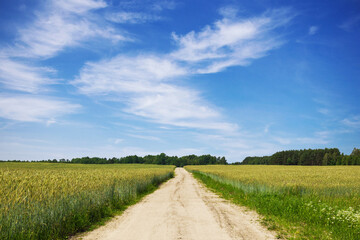 Fototapeta na wymiar Rural road landscape. Summer meadow sandy road. Blue sky sunny day. Aqrucutural field road. Agricultural field road.