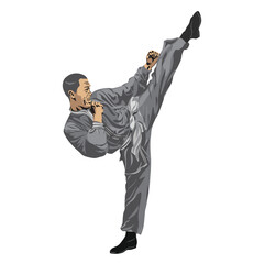 A man guy shows a kick in a wushu taekwondo karate stance. Vector graphics illustration