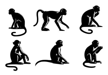 set of monkey silhouettes on isolated background - obrazy, fototapety, plakaty