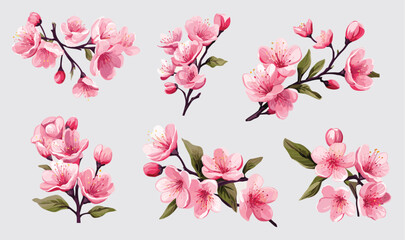 set of pink flowers