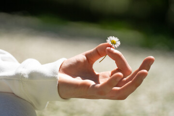 Close-up of teenage girl holding daisy and gesturing mudra