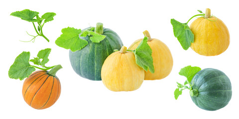 Set of autumn isolated pumpkins. Harvest and Thanksgiving concept.
