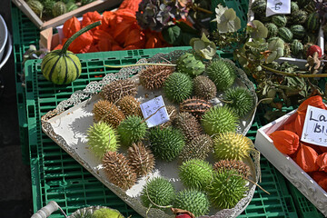  Zuerigurken auf dem Gemüsemarkt in Luzern, Schweiz