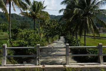green and fresh scenery in the countryside 