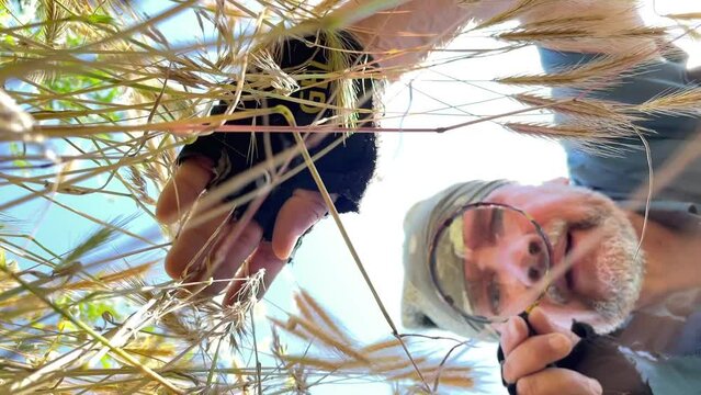 Bottom view through grass of Man with magnifying glass in hand, entomologist looking at field grass in wild meadow