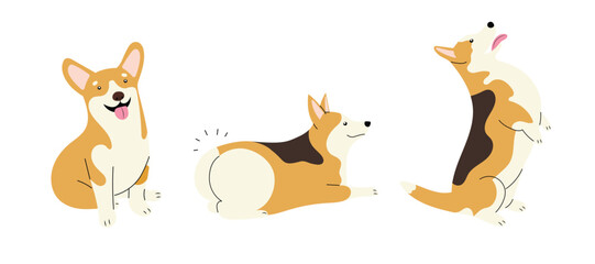 Set with three adorable corgi breed dogs, performing commands. Hand drawn isolated vector illustration in flat design