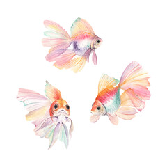 Fototapeta premium Colorful fishes set, watercolor isolated abstract fishes for your design, animal hand-drawn collection.