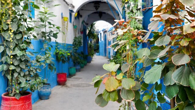 Beautiful Street of Tangier Morocco