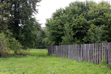 Countryside landscape with fence and trees.