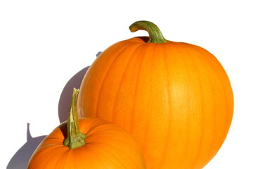 Yellow pumpkin stands on a white isolated background.	