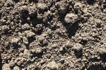 The texture of the ground soil before planting a vegetable garden.	
