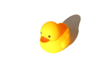 A yellow toy duck stands on a white background.	