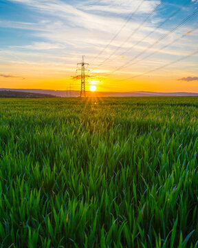 Germany, Hesse, Hunfelden, Electricity pylon in vast green field at summer sunset
