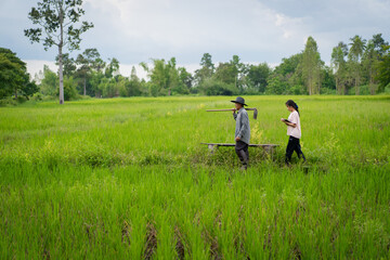 Father and son walking to the rice field, walking along the farm road
