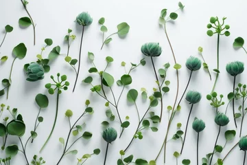 Foto op Aluminium patterns of green flowers on a plain white backdrop. Generative AI © Xanthe