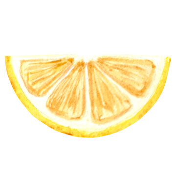 Watercolor drawing of a yellow lemon slice Hand drawn illustration on a white background for your design, decorating invitations and cards, making stickers, embroidery scheme, packaging