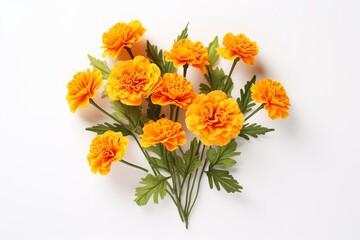 composition of marigold bouquet with leaves on white background. copy space available. Generative AI