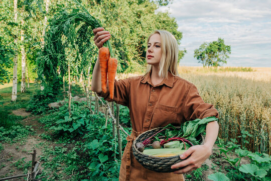 Blond woman examining carrots standing in garden