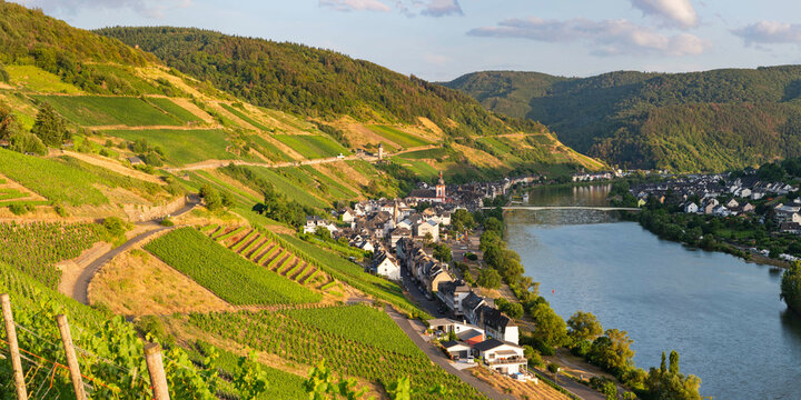 Germany, Rhineland-Palatinate, Zell, Village in Mosel Valley with vineyards in foreground