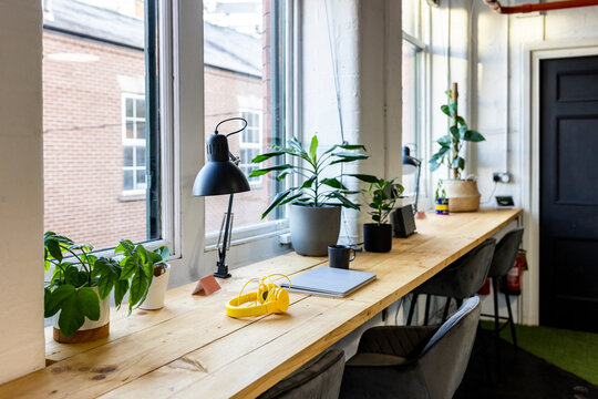 Table with laptop and plants in coworking office
