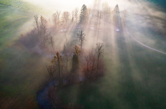 Austria, Upper Austria, Drone view of grove of autumn trees at foggy dawn