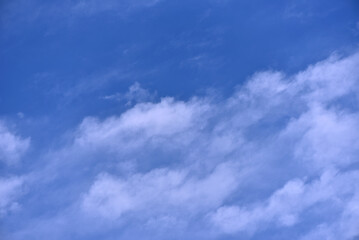 White clouds on a blue sky. Clusters of white clouds of various shapes. round and soft white clouds