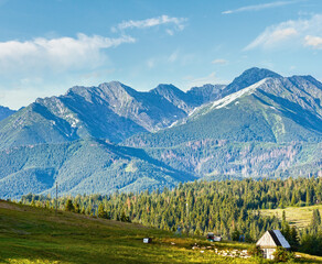 Summer mountain village outskirts with barn and flock of sheep near (Tatra range behind, Poland)