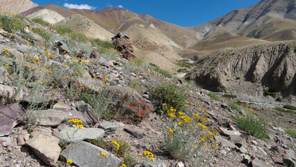 Beautiful mountain wilderness landscape in the Indian Himalayans of Ladakh