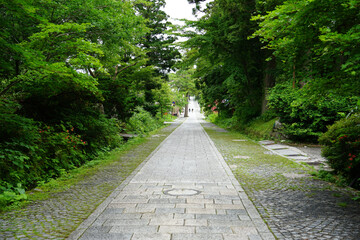 大山参道　御幸参道本通り（鳥取県大山町）