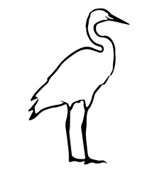 Outline of herons. Abstract bird silhouette