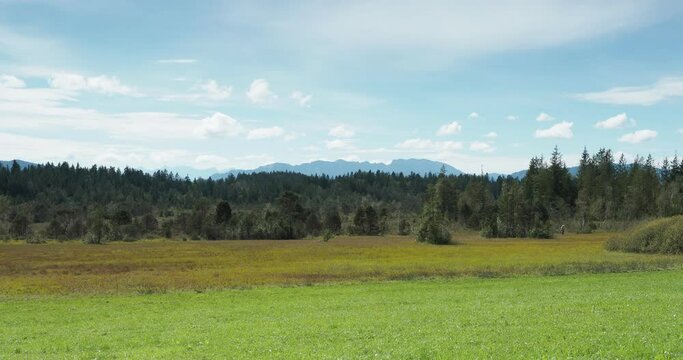 Around Kirchsee near Sachsenkam in Upper Bavaria. Nature reserve Ellbach- und Kirchseemoor with view on highest peaks of Wetterstein mountains along Austria&ndash;Germany border