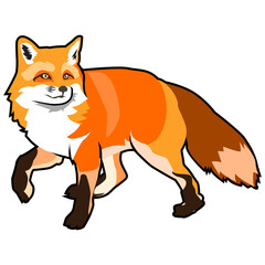 fox image png