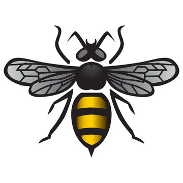 bee image png