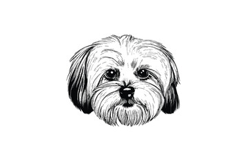 Cute Havanese: A Vector Illustration of the Adorable Havanese Dog